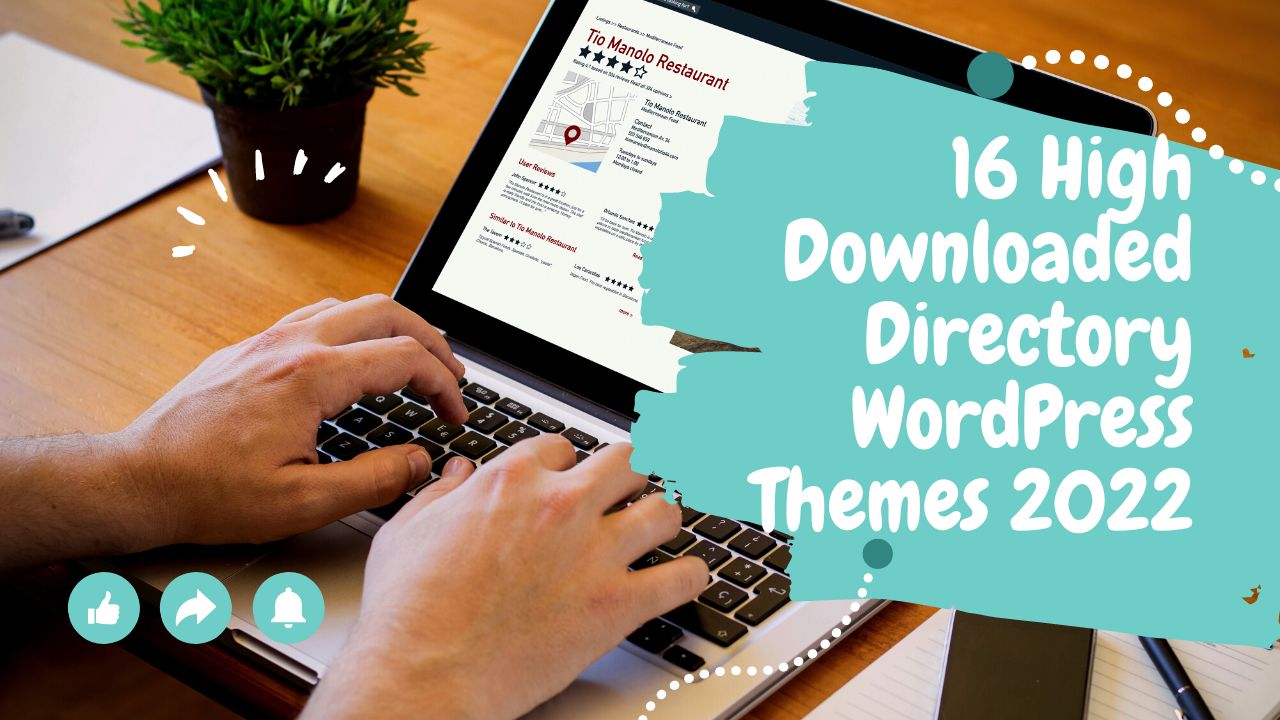 16-high-downloaded-directory-wordpress-themes-2022-ninetheme