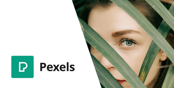Pexels WordPress Media Lİbary plugin