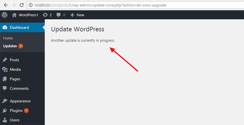 Update WordPress in Process